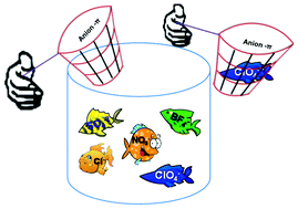 Graphical abstract: Studying fluorous interactions in a series of coordination compounds derived from mono-pyridyl ligands equipped with hydrogen bonding functionality: exploiting anion⋯πF interaction in separating ClO4− anion from a competing mixture of anions