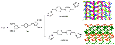 Graphical abstract: Controlling interpenetration in metal–organic frameworks by tuning the conformations of flexible bis(triazole) ligands