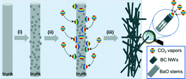 Graphical abstract: Synthesis of ultrafine green-emitting BaCO3 nanowires with 18.5 nm-diameter by CO2 vapor-assisted electrospinning
