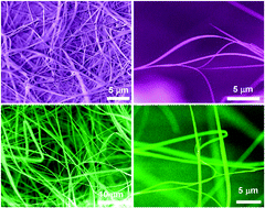 Graphical abstract: A general approach to functional metal oxide nanobelts: thermal decomposition of precursors and interface diffusion growth mechanism