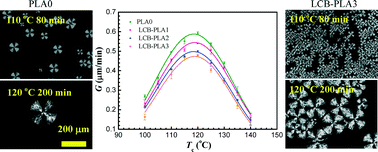 Graphical abstract: Studies on crystallization kinetics of bimodal long chain branched polylactides