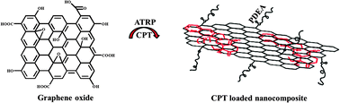 Graphical abstract: pH-Sensitive nanocargo based on smart polymer functionalized graphene oxide for site-specific drug delivery