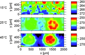 Graphical abstract: Scanning electrochemical microscopy at variable temperatures