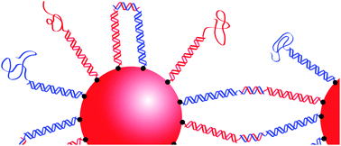 Graphical abstract: Developments in understanding and controlling self assembly of DNA-functionalized colloids