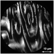 Graphical abstract: Spectromicroscopy of pulses transporting alkali metal in a surface reaction