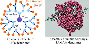 Graphical abstract: Exploiting the physicochemical properties of dendritic polymers for environmental and biological applications