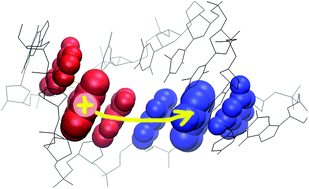 Graphical abstract: Efficient algorithms for the simulation of non-adiabatic electron transfer in complex molecular systems: application to DNA