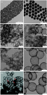 Graphical abstract: Hydrothermal carbon-based nanostructured hollow spheres as electrode materials for high-power lithium–sulfur batteries