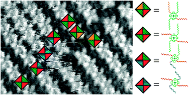 Graphical abstract: Polymorphism in porphyrin monolayers: the relation between adsorption configuration and molecular conformation