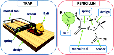 Graphical abstract: Penicillin's catalytic mechanism revealed by inelastic neutrons and quantum chemical theory