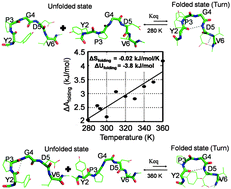 Graphical abstract: Energetics of β-turn formation in a mutant peptide YPGDV from influenza hemagglutinin: an MD simulation study
