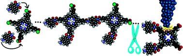 Graphical abstract: Unravelling the molecular structure and packing of a planar molecule by combining nuclear magnetic resonance and scanning tunneling microscopy
