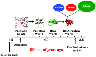 Graphical abstract: New insights into prebiotic chemistry from Stanley Miller's spark discharge experiments