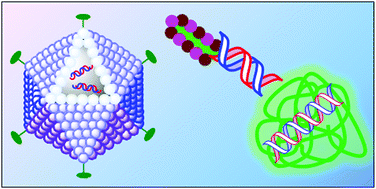 Graphical abstract: Chemistry and formulations for siRNA therapeutics