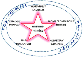Graphical abstract: Supramolecular catalysis. Part 2: artificial enzyme mimics
