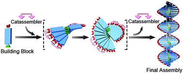Graphical abstract: What molecular assembly can learn from catalytic chemistry