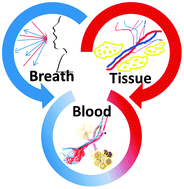 Graphical abstract: Assessment, origin, and implementation of breath volatile cancer markers