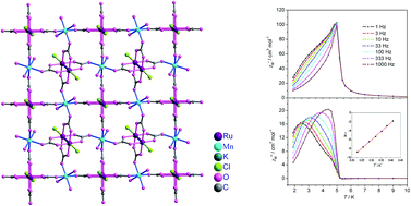 Graphical abstract: Incorporation of M(H2O)62+ between layers {M(H2O)2Ru2(CO3)4Cl2}n2n− (M = Zn, Mn): syntheses, structures and magnetic properties