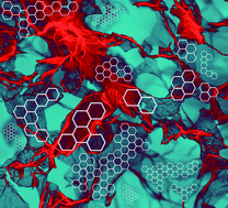 Graphical abstract: A review of graphene and graphene oxide sponge: material synthesis and applications to energy and the environment