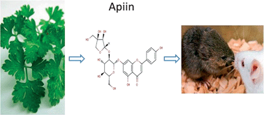 Graphical abstract: In vitro and in vivo antioxidant activities of a flavonoid isolated from celery (Apium graveolens L. var. dulce)