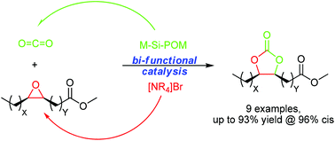 Graphical abstract: Substrate dependent synergetic and antagonistic interaction of ammonium halide and polyoxometalate catalysts in the synthesis of cyclic carbonates from oleochemical epoxides and CO2