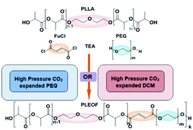 Graphical abstract: Synthesis of a biodegradable polymer in gas expanded solution: effect of the process on cytocompatibility