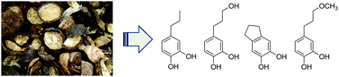 Graphical abstract: Depolymerization of organosolv lignin to aromatic compounds over Cu-doped porous metal oxides