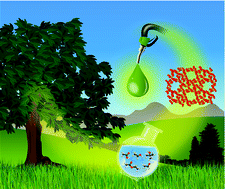 Graphical abstract: Conversion of biomass-derived small oxygenates over HZSM-5 and its deactivation mechanism
