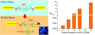 Graphical abstract: A general method for the separation of amphiphilic surface-active poly(ethylene glycol) mono- and di-esters with long-chain ionic liquid-based biphasic systems