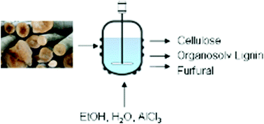 Graphical abstract: Comparison of the influence of a Lewis acid AlCl3 and a Brønsted acid HCl on the organosolv pulping of beech wood