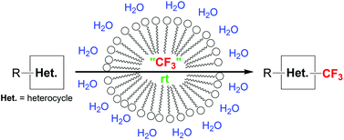 Graphical abstract: Trifluoromethylation of heterocycles in water at room temperature