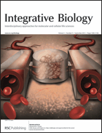 Graphical abstract: Inside front cover