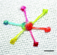 Graphical abstract: Interfacial microfluidic transport on micropatterned superhydrophobic textile