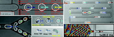 Graphical abstract: Droplet morphometry and velocimetry (DMV): a video processing software for time-resolved, label-free tracking of droplet parameters