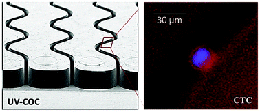 Graphical abstract: UV activation of polymeric high aspect ratio microstructures: ramifications in antibody surface loading for circulating tumor cell selection