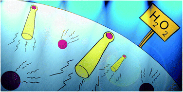Graphical abstract: Chemotaxis of catalytic silica–manganese oxide “matchstick” particles