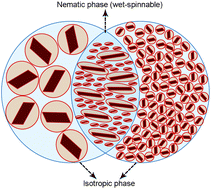 Graphical abstract: Formation and processability of liquid crystalline dispersions of graphene oxide