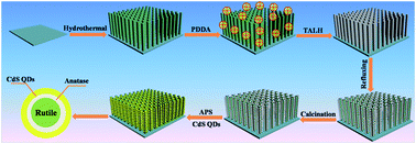 Graphical abstract: Self-assembly of aligned rutile@anatase TiO2 nanorod@CdS quantum dots ternary core–shell heterostructure: cascade electron transfer by interfacial design