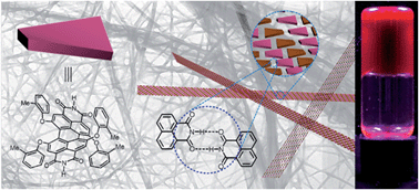 Graphical abstract: An organogelator design without solubilizing side chains by backbone contortion of a perylene bisimide pigment