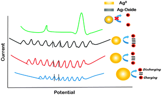 Graphical abstract: Size-dependent quantized double layer charging of monolayer-protected silver nanoparticles