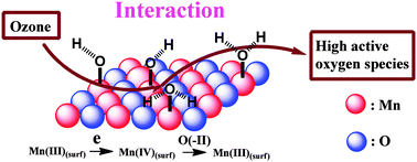 Graphical abstract: An α-MnO2 nanotube used as a novel catalyst in ozonation: performance and the mechanism