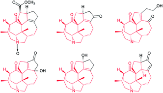Graphical abstract: Strategies towards the synthesis of calyciphylline A-type Daphniphyllum alkaloids