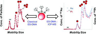 Graphical abstract: Quantitative analysis of dendron-conjugated cisplatin-complexed gold nanoparticles using scanning particle mobility mass spectrometry