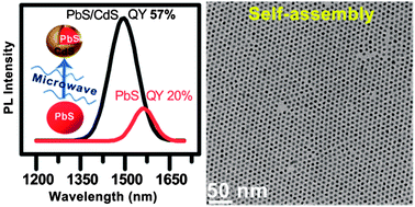 Graphical abstract: Microwave-assisted cation exchange toward synthesis of near-infrared emitting PbS/CdS core/shell quantum dots with significantly improved quantum yields through a uniform growth path