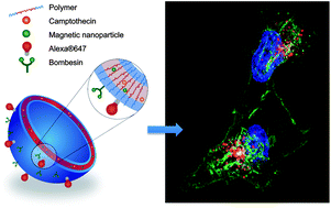Graphical abstract: Continuously manufactured magnetic polymersomes – a versatile tool (not only) for targeted cancer therapy