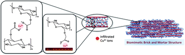 Graphical abstract: Ionic supramolecular bonds preserve mechanical properties and enable synergetic performance at high humidity in water-borne, self-assembled nacre-mimetics