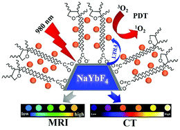 Graphical abstract: A new near infrared photosensitizing nanoplatform containing blue-emitting up-conversion nanoparticles and hypocrellin A for photodynamic therapy of cancer cells