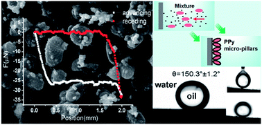 Graphical abstract: A facile bacterial assisted electrochemical self-assembly of polypyrrole micro-pillars: towards underwater low adhesive superoleophobicity