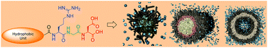 Graphical abstract: Self-assembled multivalent RGD-peptide arrays – morphological control and integrin binding