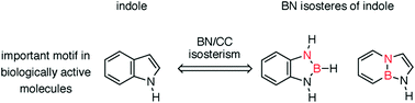Graphical abstract: BN isosteres of indole